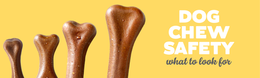 Dog Chew Safety: What to Look for When Selecting Chews for Your Canine Companion