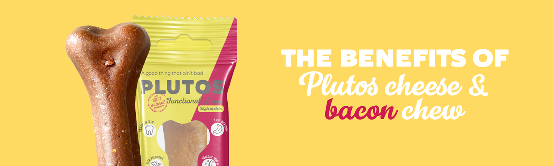 Unveiling the Secrets Behind PLUTOS Cheese & Bacon Chew: How It's Made