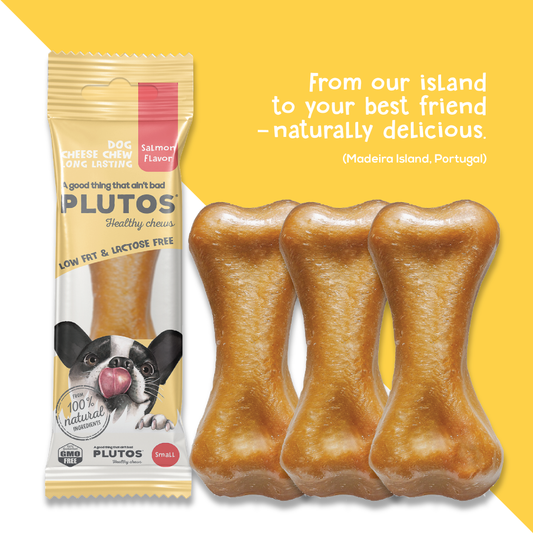 Plutos Cheese & Salmon Chew — front pack shot, functional natural casein dog chew