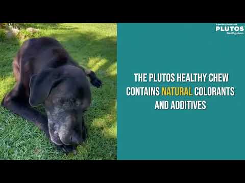 Video preview — Plutos Cheese & Beef functional natural dog chew in use